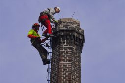 Na komíně v Mladé Boleslavi vyrostlo čapí hnízdo