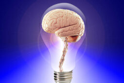 Odkud se bere genialita? A neplatíme za ni příliš vysokou cenu?