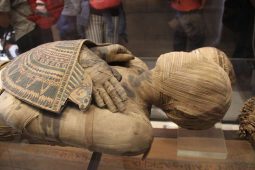 Mumie a magie starověkého Egypta: Odvažte se nahlédnout do světa mumifikace!