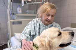Startuje sbírka DARUJ F≈M. Psi budou pomáhat vážně nemocným pacientům