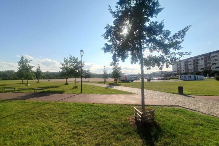 Na Letné zmizí parkoviště. Místo aut vyroste park se 61 stromy