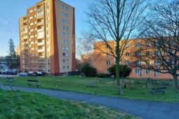 Vnitroblok v Riegrově ulici čeká proměna. Přibydou hřiště, zeleň i místa k parkování