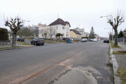 FOTO – Stromy, nové chodníky i parkování. Květná ulice v Plzni se letos výrazně promění