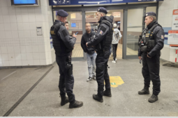 Noční razie v Plzni. Policie zkontrolovala stovky lidí, řešila alkohol u mladistvých