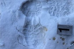 Stačila chvíle nepozornosti. Muž měl brát auta, čtyřkolku i peněženky