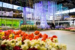 Olomoucké výstaviště se chystá na jarní Floru. Vstupenky jsou již v prodeji