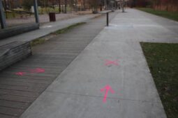 Viděli jste nehodu v Tyršových sadech? Ozvěte se policii