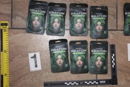 Obchodník na Českolipsku prodával kratom bez licence, hrozí mu až pět let vězení