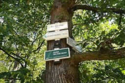 Tipy na víkend: zdraví, deskové hry i výlet za sněženkami