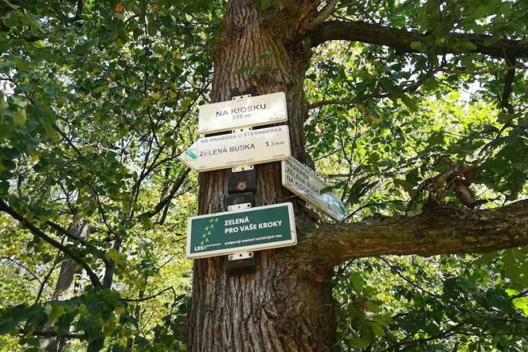 Tipy na víkend: zdraví, deskové hry i výlet za sněženkami