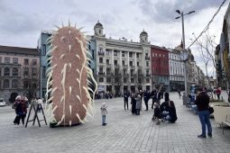 Bakterie E. coli osídlila Náměstí Svobody, láká na dny elektronové mikroskopie