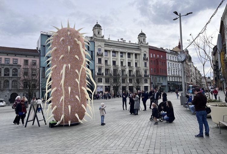 Bakterie E. coli osídlila Náměstí Svobody, láká na dny elektronové mikroskopie