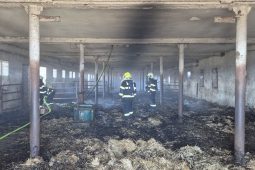 Požár kravína na Kroměřížsku: Hasiči evakuovali zvířata a bojují s šířícími se plameny