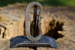 Hledají se lidé s jiskrou a srdcem. Výjimeční dobrovolníci získají cenu