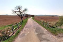 Silnice mezi Zahnašovicemi a Lechoticemi projde rekonstrukcí, v plánu je uzavírka