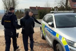 VIDEO: Cizinečtí policisté se zaměřili na nelegálně pracující cizince na stavbách 