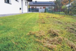 Zahrady se probouzejí, kutilové už plánují letošní projekty