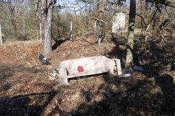 Chcete dělat černou skládku? Pozor, hrozí vám pokuta až 100 000 korun