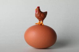 Vejce jsou před Velikonocemi rekordně drahá. Nedostatek v Evropě žene ceny nahoru, Česku hrozí další zdražování