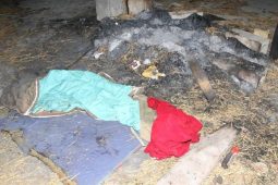 Recidivista nepřestal ani po obvinění: na Jihlavsku vykradl osmnáct objektů a skončil ve vazbě