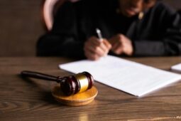 Tři změny Ústavy ve hře: ukotvení koruny a právo na hotovost nejspíš neprojdou, šanci má celostátní referendum