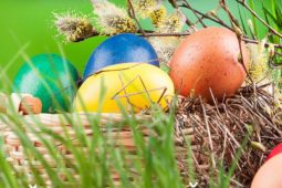 Výstavní prostor Mázhaus nabízí pestrý velikonoční program