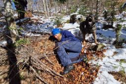 Kynologové a jejich psi v roce 2025: Barney ho našel za stavebním materiálem, Daphne našla ztraceného pacienta