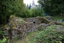 Ronovec se probouzí k životu. Město i dobrovolníci plánují záchranu zapomenutého hradu