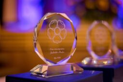 Znáte ve svém okolí inspirativní osobnost? Nominujte ji na Křišťálovou růži