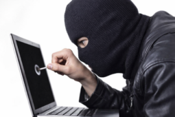Kyberpodvody stále rostou. Policisté denně evidují jednoho podvedeného