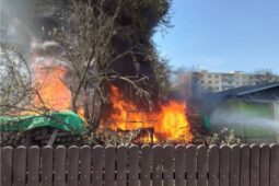 Skleník v plamenech. Oheň zasáhl i auto a blízké okolé