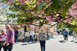Hudba, jídlo i zábava. První máj v Šumperku oživí ulice