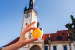 Tvarůžky slaví 150 let. Olomouc čeká voňavý festival plný chutí