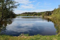 Přírodní koupaliště čeká další sezona, chystají se nové úpravy vody