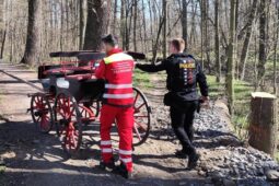 Splašil se mu kůň a s povozem skončil v příkopě