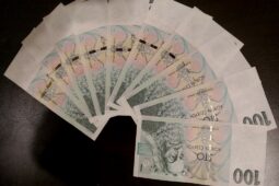 Peníze na sociální služby si rozdělí sedm organizací