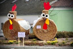 Oblíbení Slamáci se vrací do Svitav. Zapojte se a najděte šestnáct slaměných zvířátek