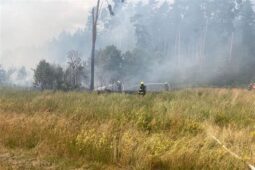 Během Velikonoc zasahovali jihočeští hasiči u několika požárů v přírodě. Jejich šíření komplikovalo sucho i vítr