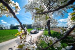 Přijďte si do Prachatic prohlédnout více než stovku skvostných veteránů