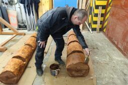 Druhý život vánočního stromu: z pelhřimovského náměstí až do Městských sadů