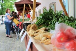 Klobucké hospodářské trhy začínají sezónu