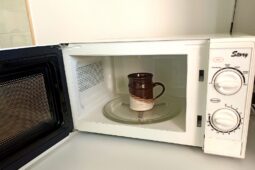 Mikrovlnka. Dobrý sluha, ale musíte znát pravidla hry