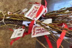 Pomlázky pro Charitu překonaly rekord. Lidé darovali téměř čtvrt milionu potřebným