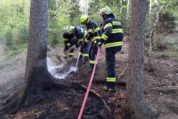 Požár lesa u Machova: oheň se šířil i pod zemí
