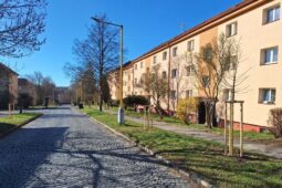 Příbram rozkvétá: Ulice zaplnily nové stromy i květiny, jarní proměna začíná