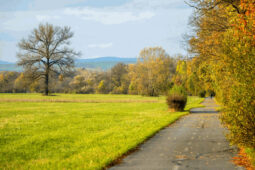 Veselí nad Moravou modernizuje cyklostezky: první úsek čeká měsíční oprava