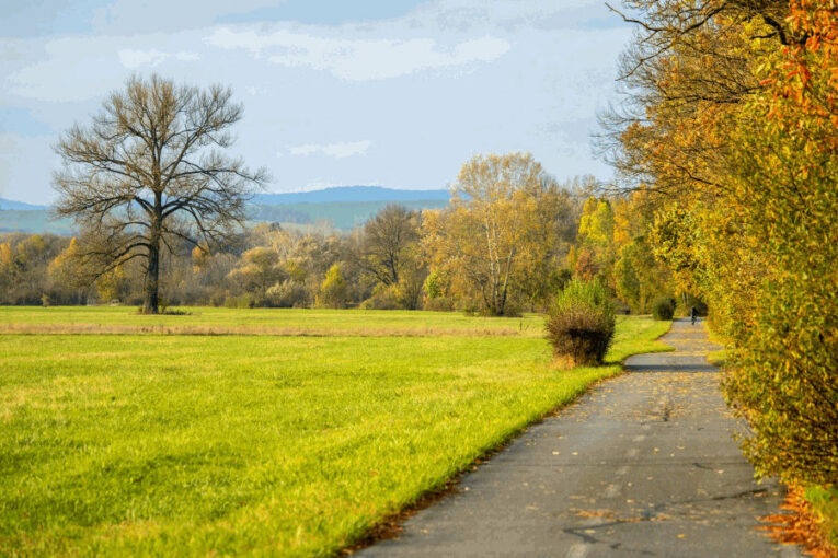 Veselí nad Moravou modernizuje cyklostezky: první úsek čeká měsíční oprava