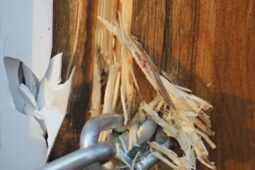 Spolupráce veřejnosti přispěla k dopadení zloděje z chatové oblasti