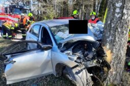Tragická nehoda na Semilsku: Senior vyjel ze silnice a narazil do stromu, na místě zemřel