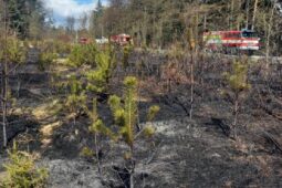 Vítr strhl vedení a zapálil les